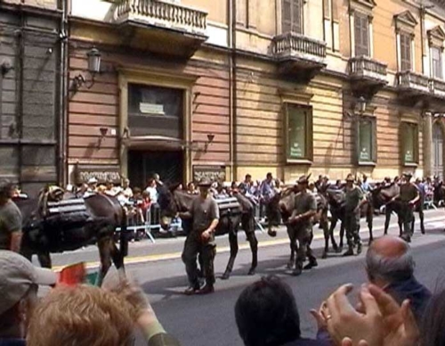 catania29